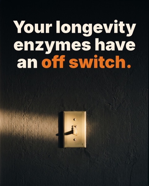 Opening slide of the NMN-99 video Off switch