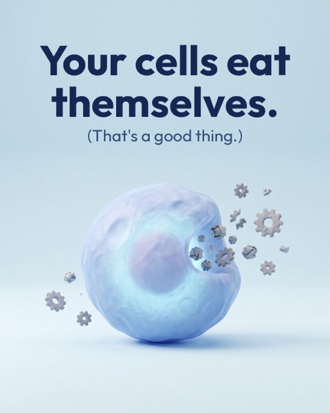 Opening slide of the SPMD-99 video Your cells eat themselves