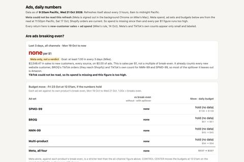 A small picture of the page: Daily ads dashboard.